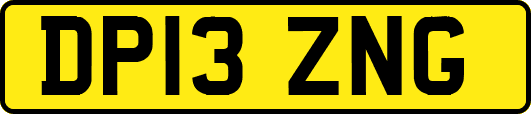 DP13ZNG