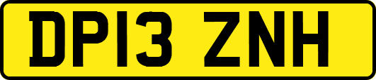 DP13ZNH