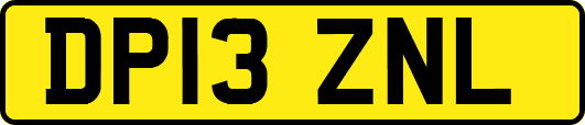 DP13ZNL