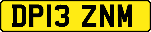 DP13ZNM