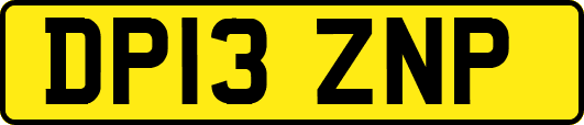 DP13ZNP