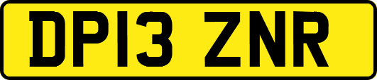 DP13ZNR