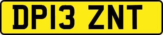 DP13ZNT