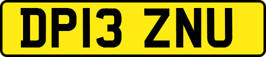 DP13ZNU