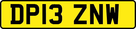 DP13ZNW