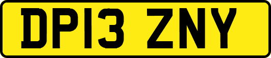 DP13ZNY