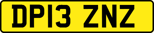 DP13ZNZ