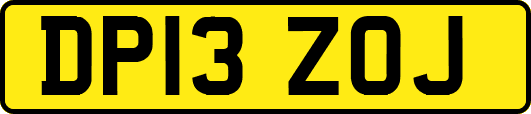 DP13ZOJ
