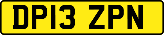 DP13ZPN