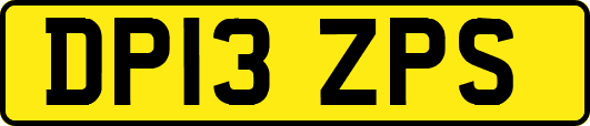 DP13ZPS