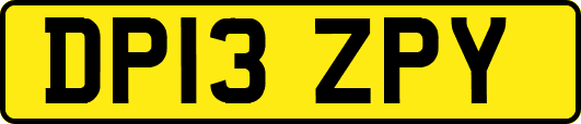 DP13ZPY