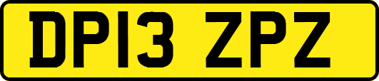 DP13ZPZ
