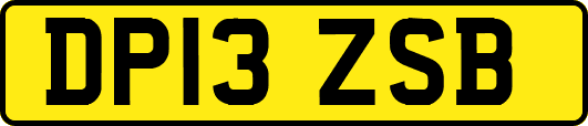 DP13ZSB