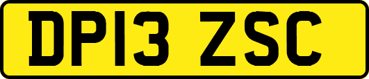 DP13ZSC