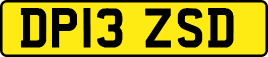 DP13ZSD