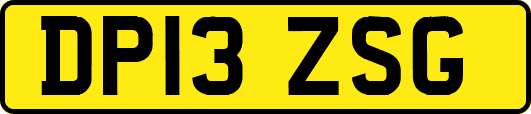 DP13ZSG