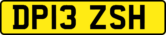 DP13ZSH