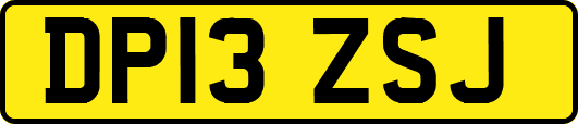 DP13ZSJ