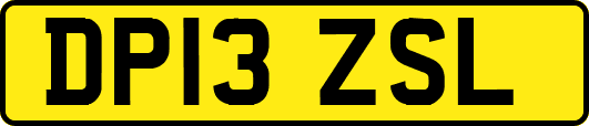 DP13ZSL