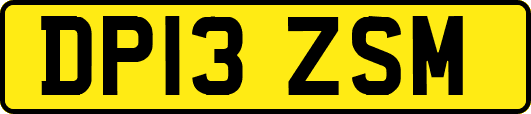 DP13ZSM