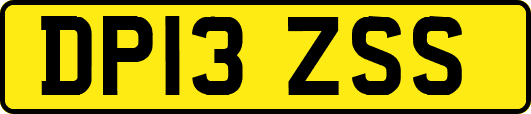 DP13ZSS