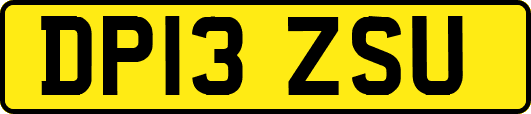 DP13ZSU