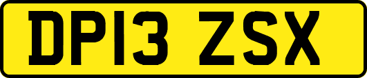 DP13ZSX