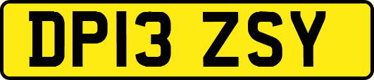 DP13ZSY