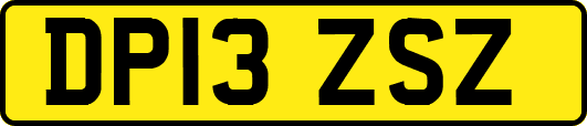 DP13ZSZ