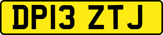 DP13ZTJ