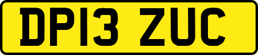 DP13ZUC