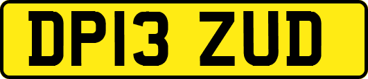 DP13ZUD