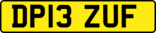 DP13ZUF