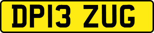 DP13ZUG