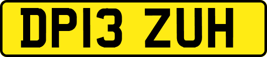 DP13ZUH