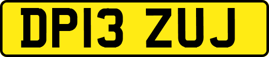 DP13ZUJ