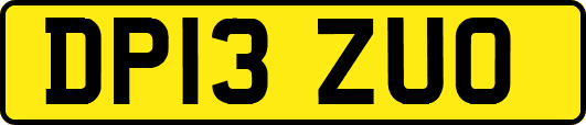 DP13ZUO