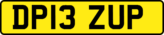 DP13ZUP