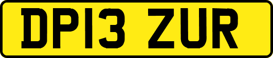 DP13ZUR