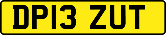 DP13ZUT