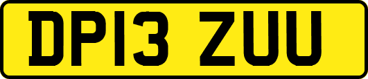 DP13ZUU