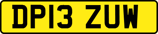 DP13ZUW