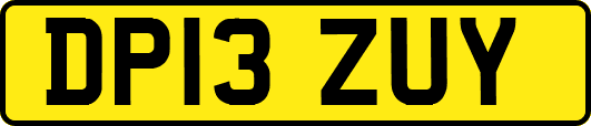 DP13ZUY