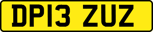 DP13ZUZ