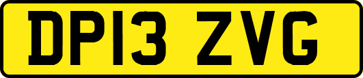 DP13ZVG