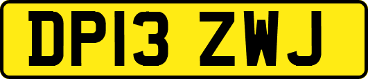 DP13ZWJ