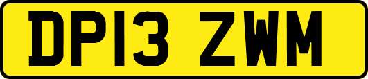 DP13ZWM