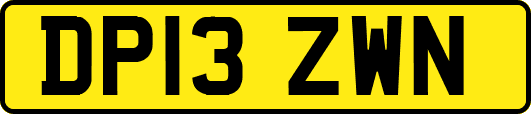 DP13ZWN