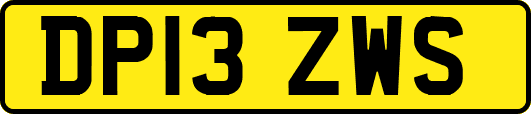 DP13ZWS