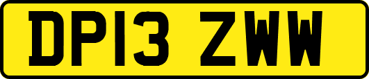 DP13ZWW